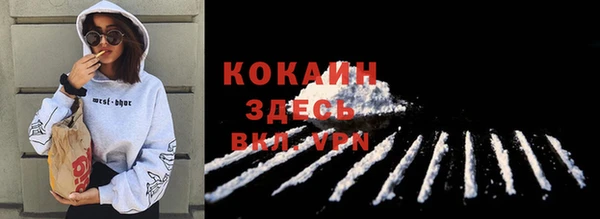 спиды Абаза