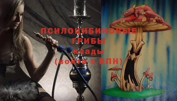спиды Абаза