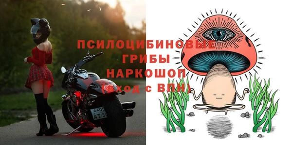 спиды Абаза