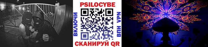 Псилоцибиновые грибы Psilocybe  Куровское 